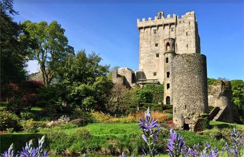 Kinsale & Blarney Castle Tour
